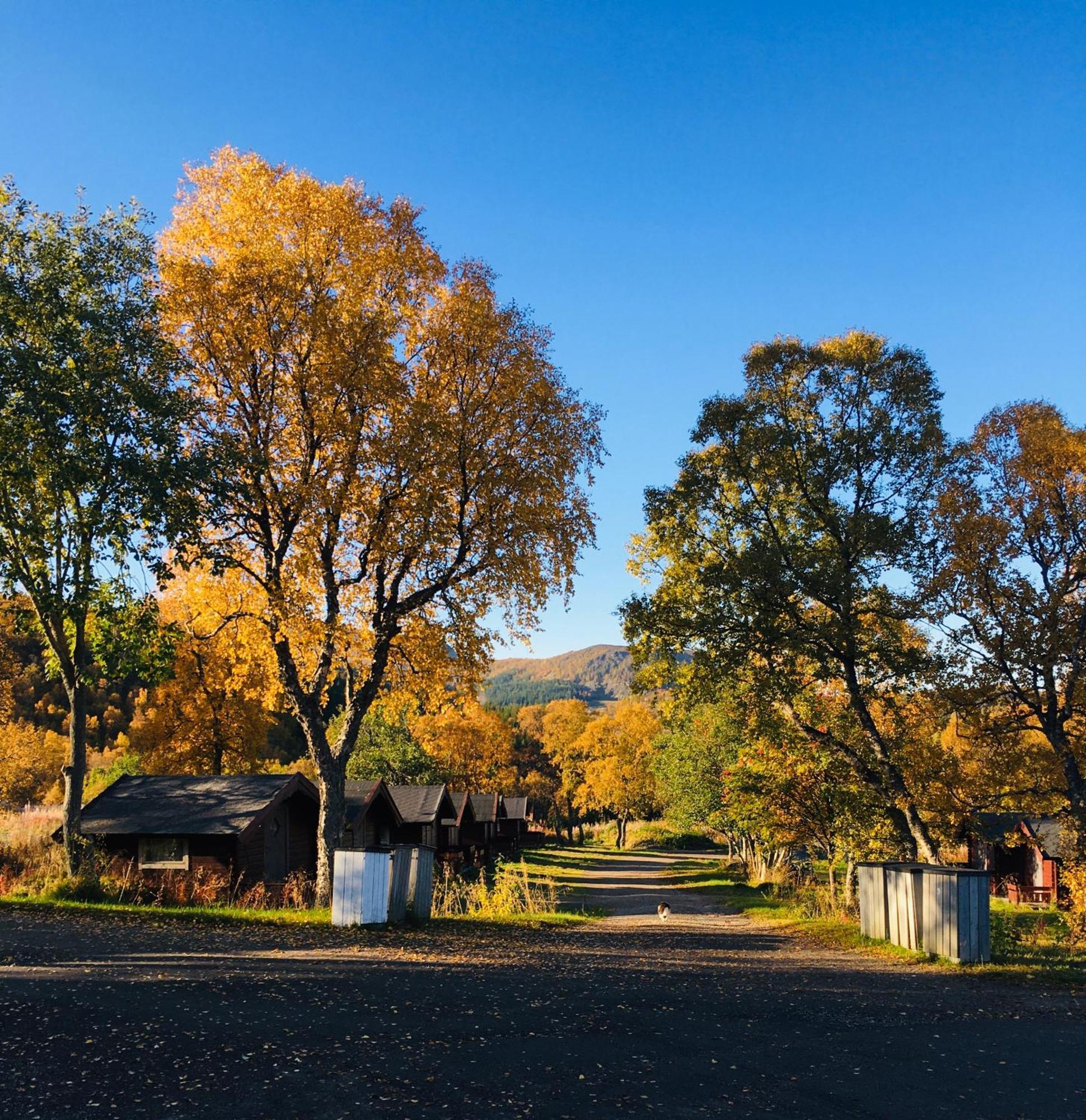 Sortland Camping Og Motell As Dış mekan fotoğraf
