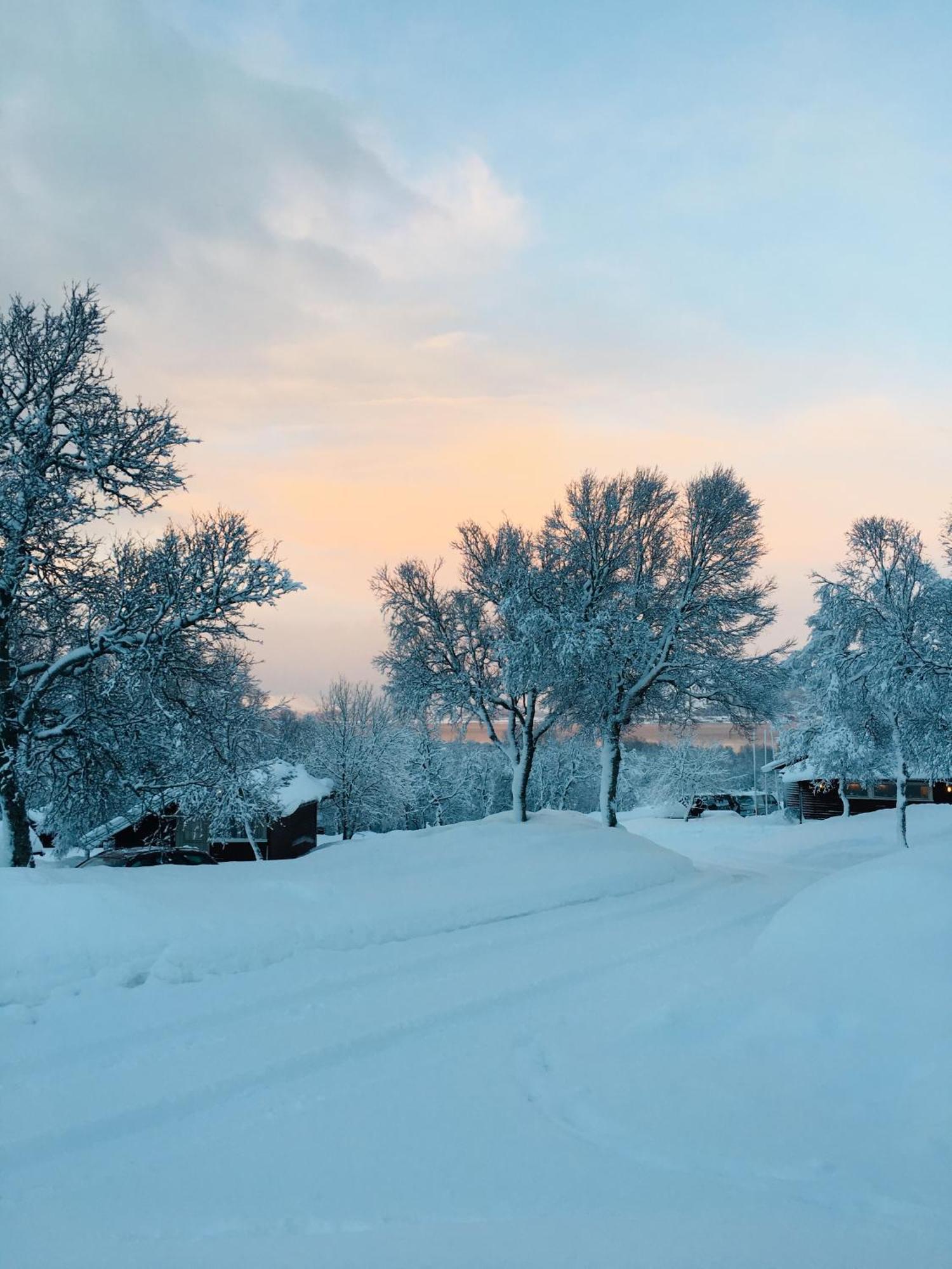 Sortland Camping Og Motell As Dış mekan fotoğraf