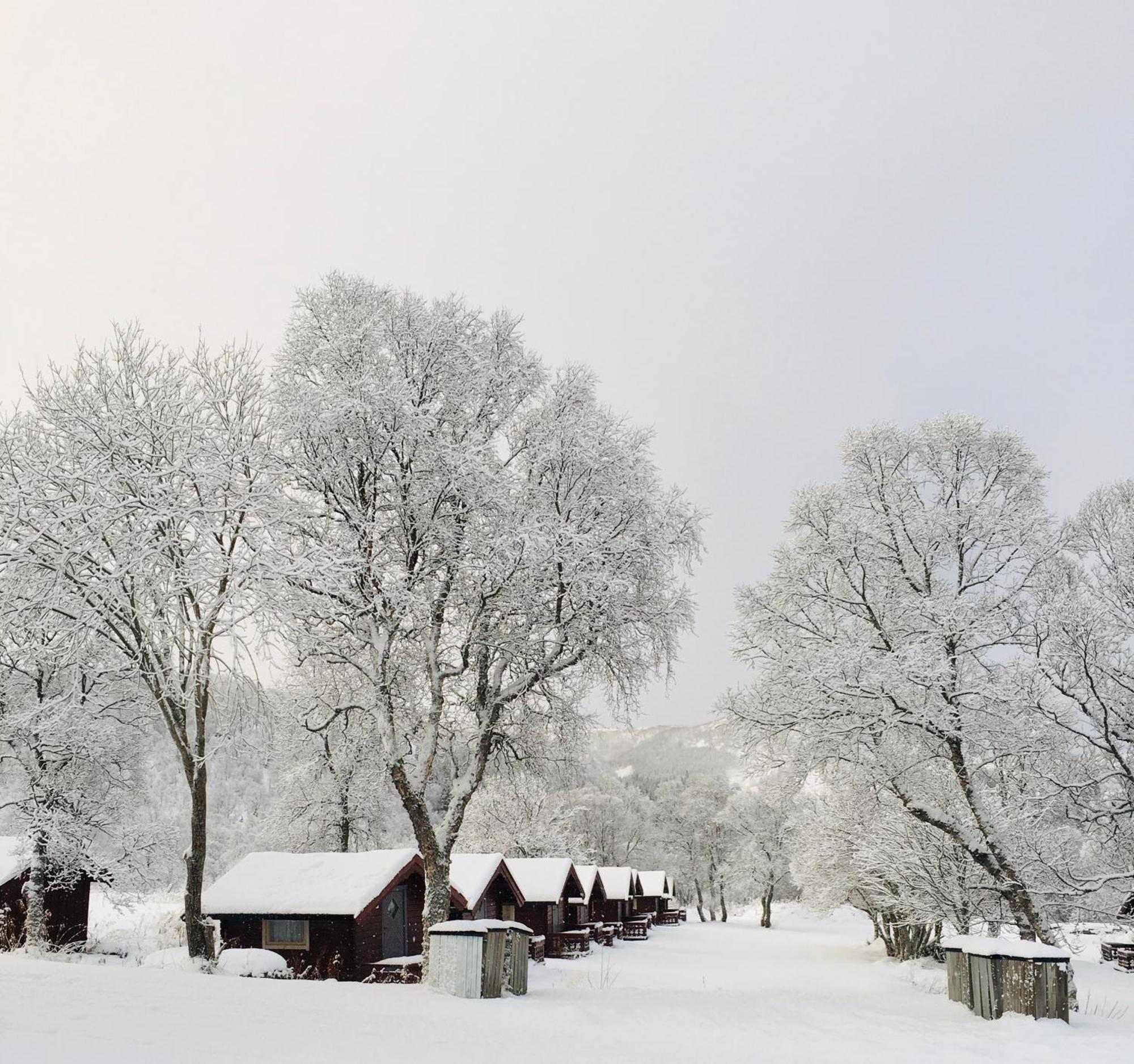 Sortland Camping Og Motell As Dış mekan fotoğraf