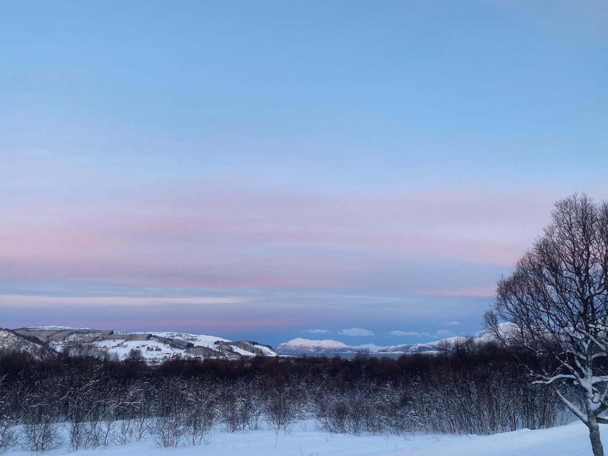 Sortland Camping Og Motell As Dış mekan fotoğraf