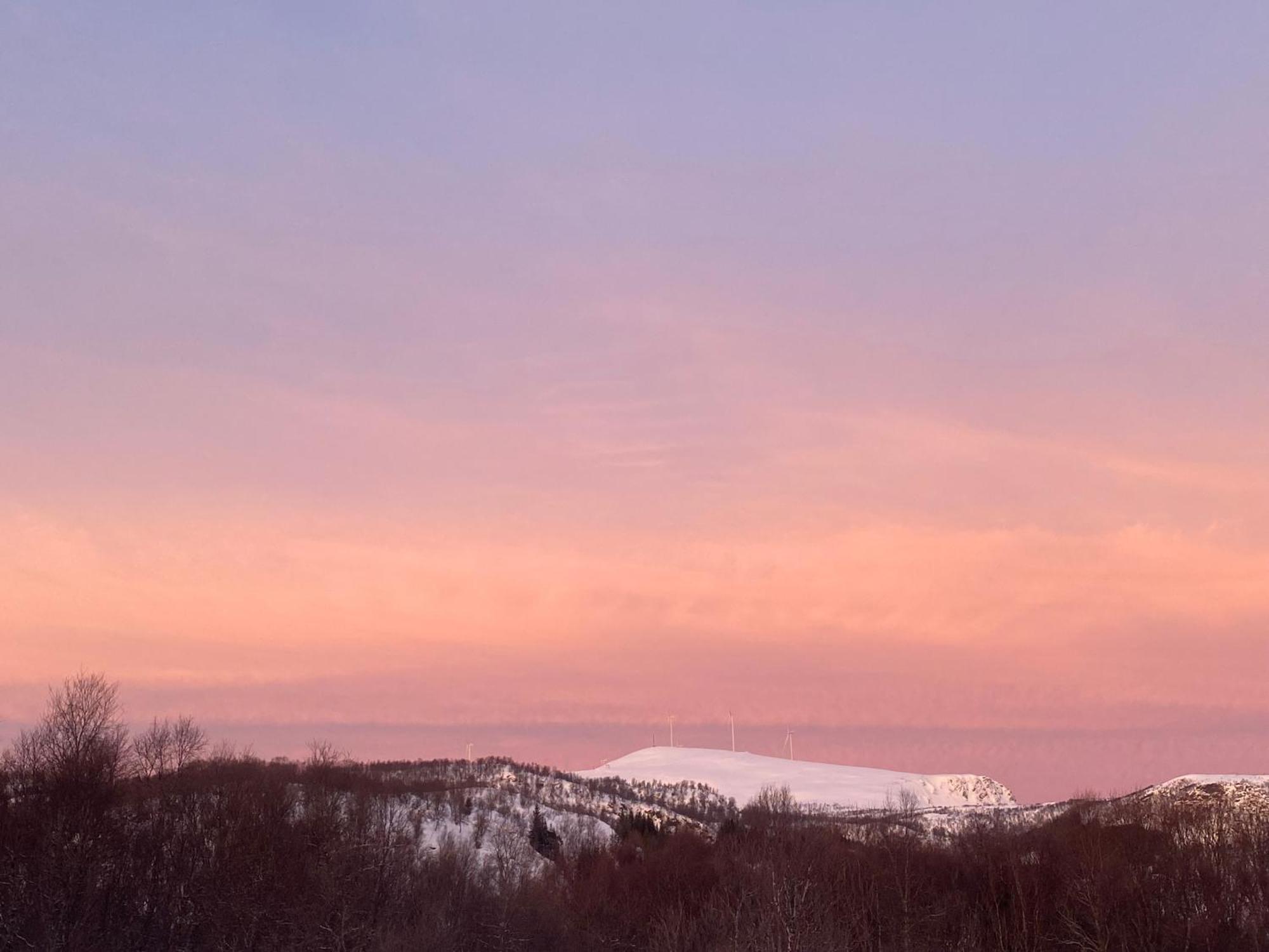 Sortland Camping Og Motell As Dış mekan fotoğraf