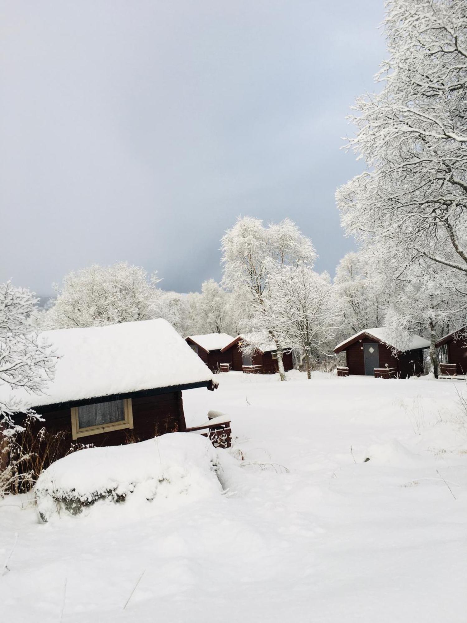 Sortland Camping Og Motell As Dış mekan fotoğraf