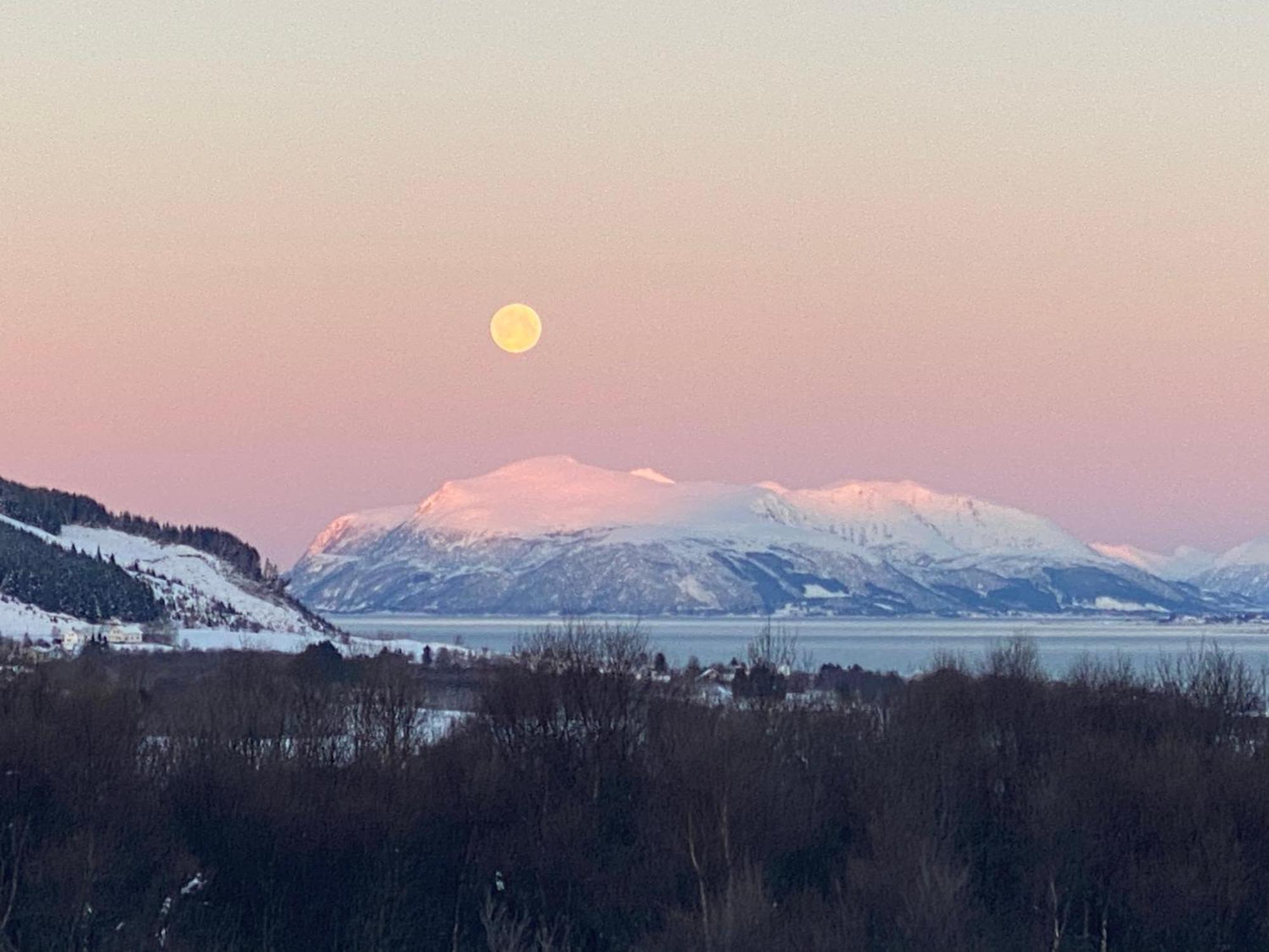 Sortland Camping Og Motell As Dış mekan fotoğraf