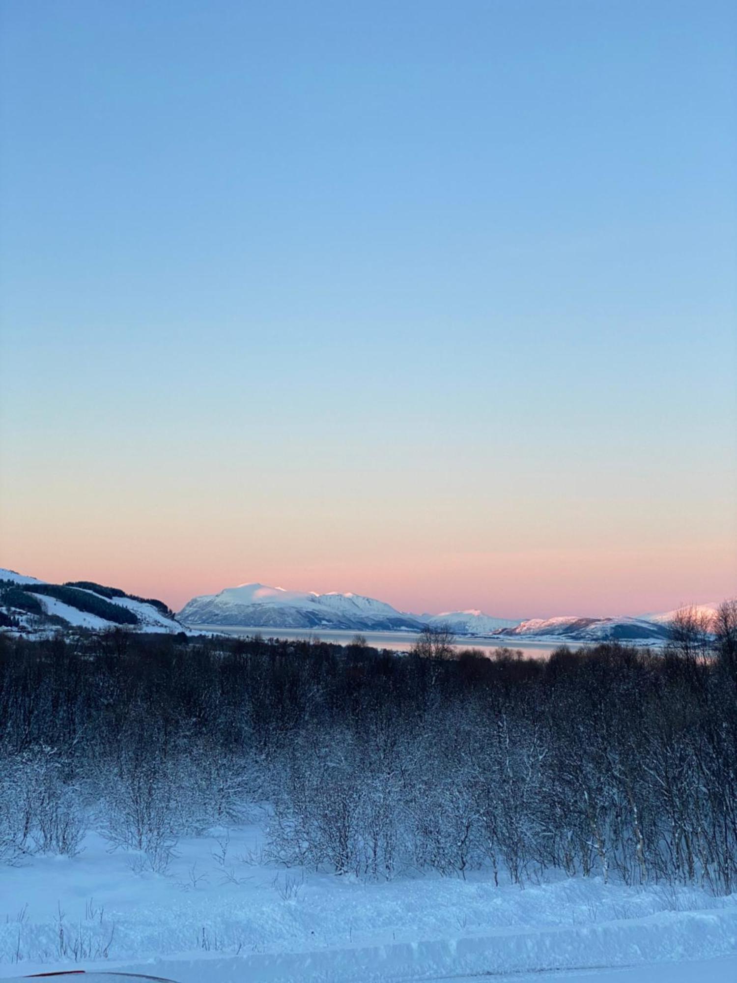 Sortland Camping Og Motell As Dış mekan fotoğraf