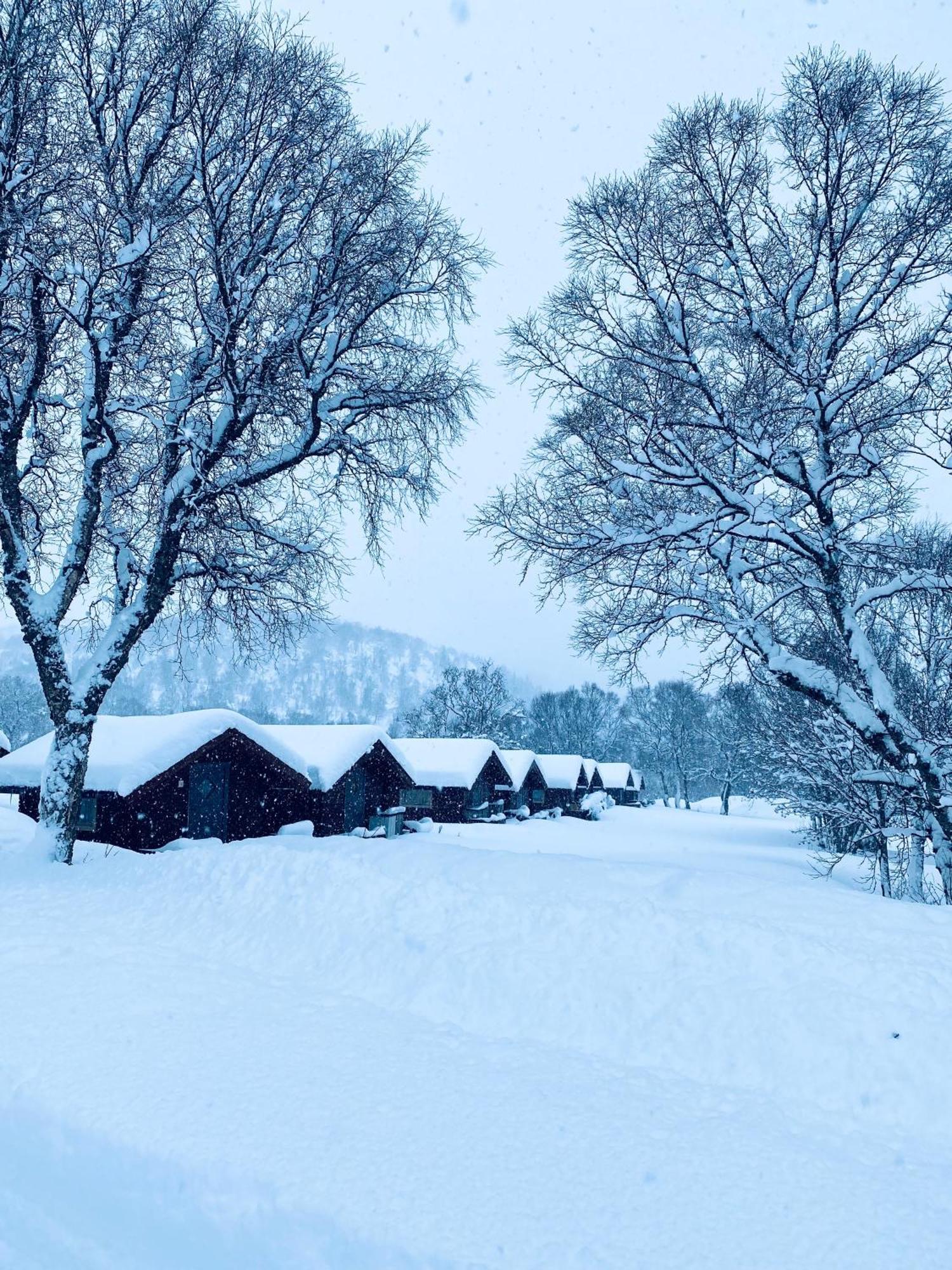 Sortland Camping Og Motell As Dış mekan fotoğraf
